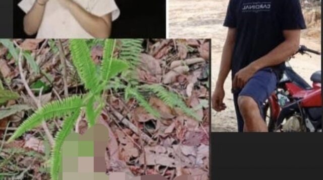 Korban,dugaan pencabulan bocah perempuan, Ailen alias Endut (4) di kampung Intu Lingau kecamatan Nyuatan kabupaten Kutai Barat (Kubar), Kamis (30/1/2025)