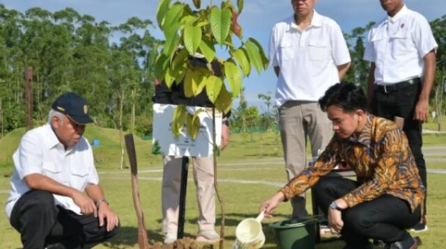 Wakil Presiden Gibran Rakabuming Raka menanam pohon ulin di Plaza Bhinneka Tunggal Ika
