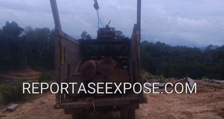Aktivitas Truk Angkutan Kayu Log diduga dari PT BDL Di Long Daliq Kecamatan Long Iram. Penulis: Johansyah